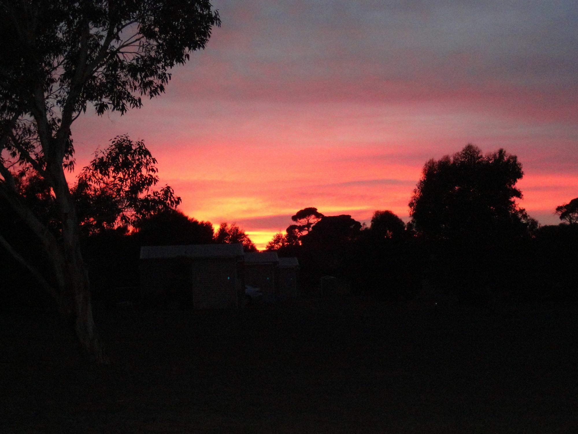 Kangaroo Island Cabins 킹스콧 외부 사진