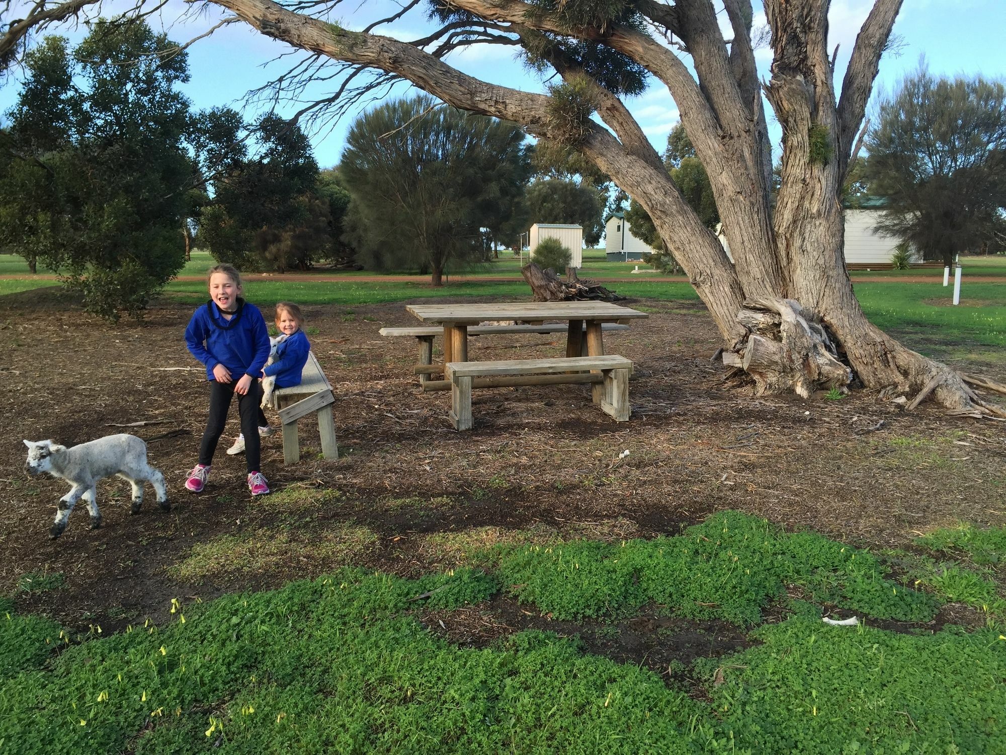Kangaroo Island Cabins 킹스콧 외부 사진